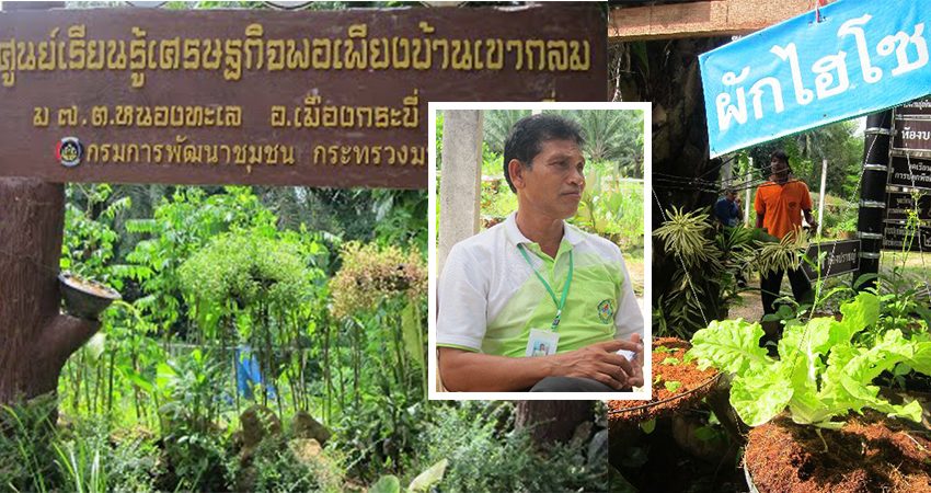อดีตมนุษย์เงินเดือน ยึดหลักเกษตรพอเพียง มีรายได้เหลือปีละล้าน ต้นตำรับปลูกกล้วยรสผลไม้...