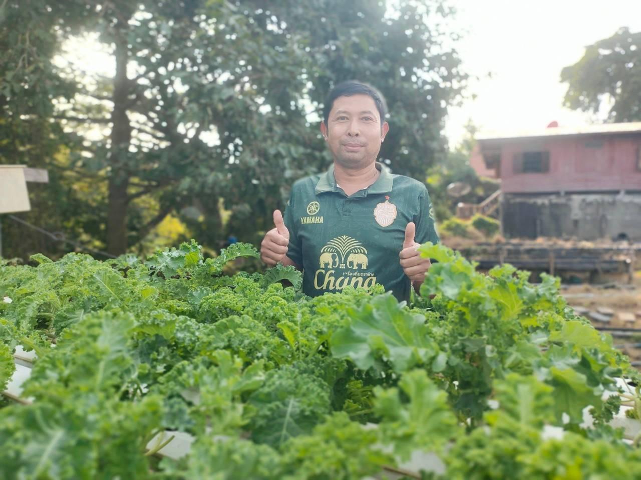 ผักสลัด 